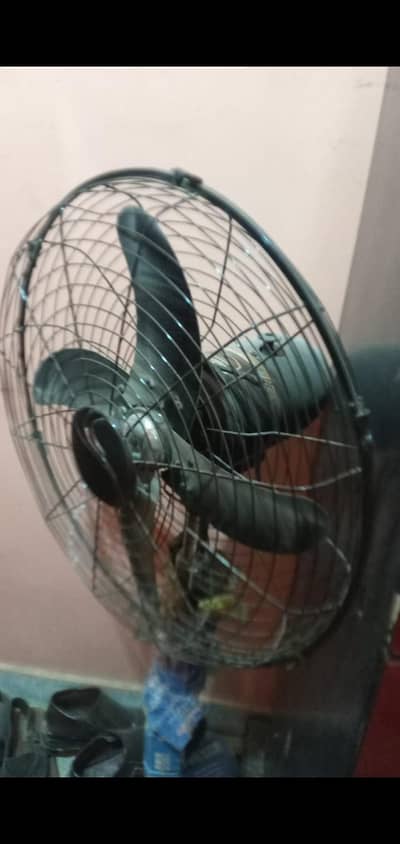 To day sale AC DC pedestal fan new