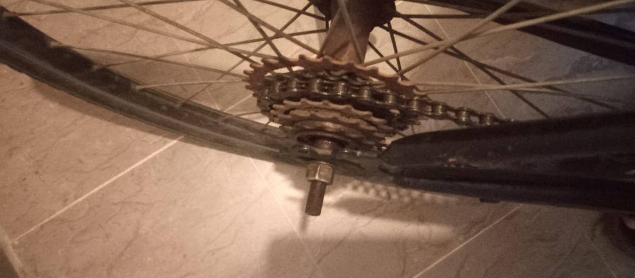 Cycle 2
