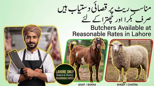 Qasai Available
