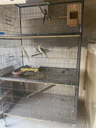 Big cage for sale like new