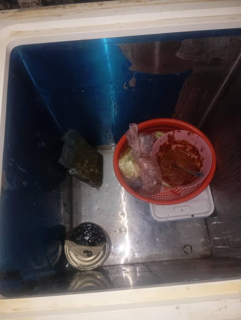 freezer 1