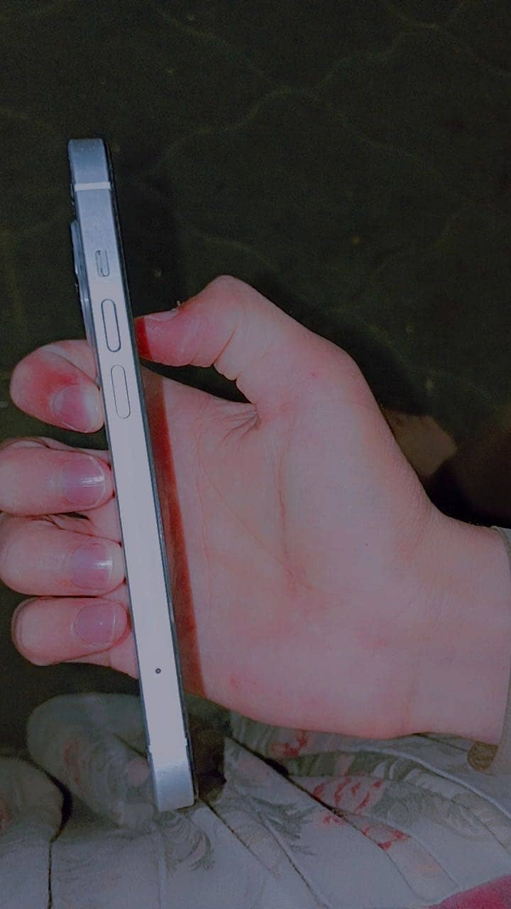 Apple iPhone 13 0