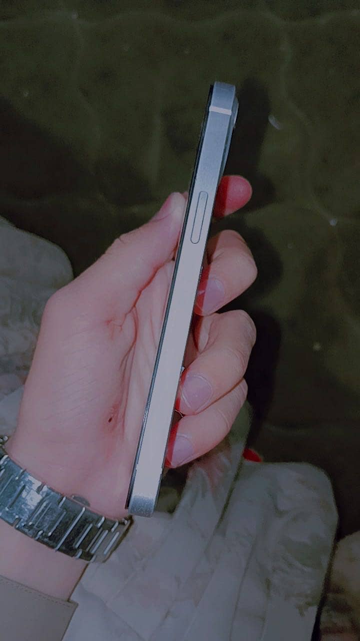 Apple iPhone 13 1