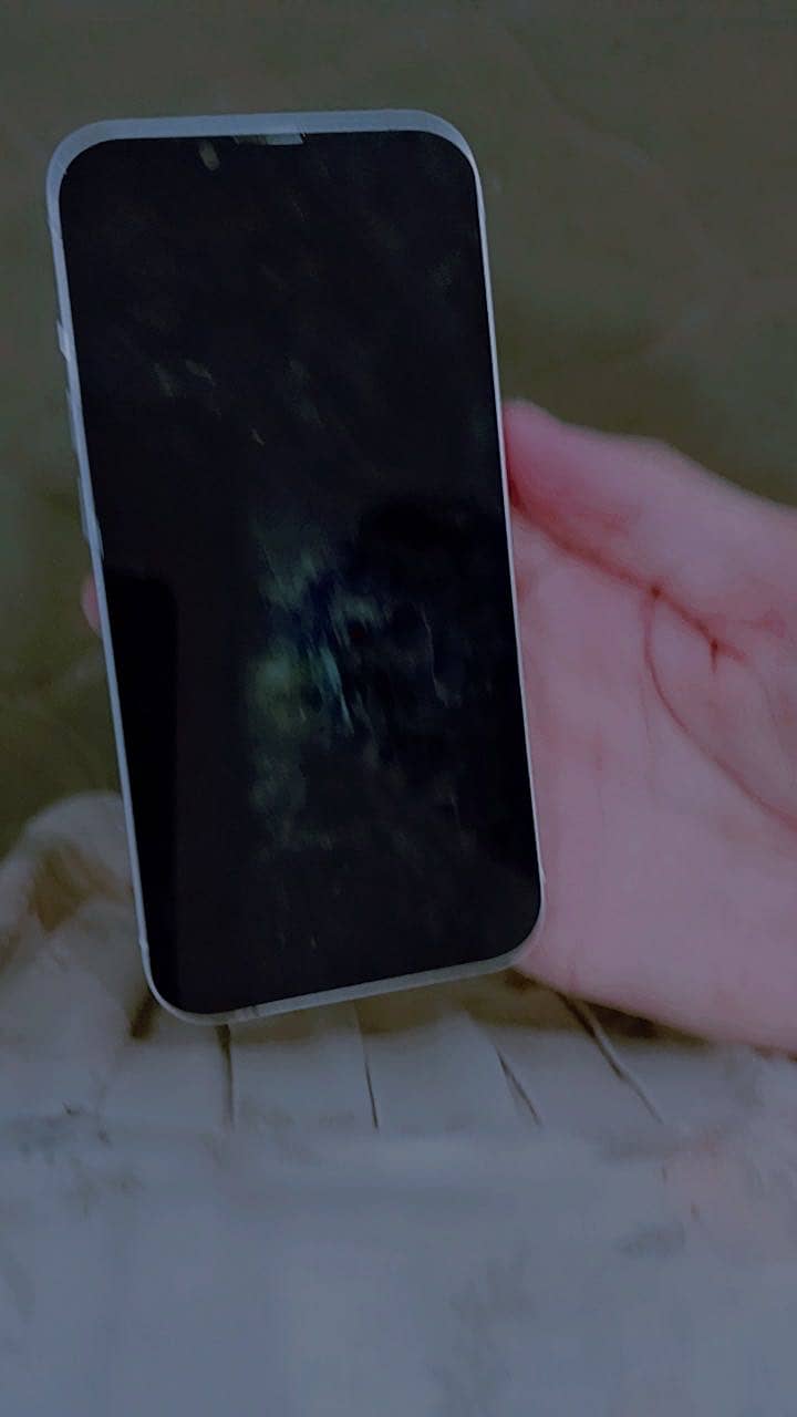 Apple iPhone 13 2