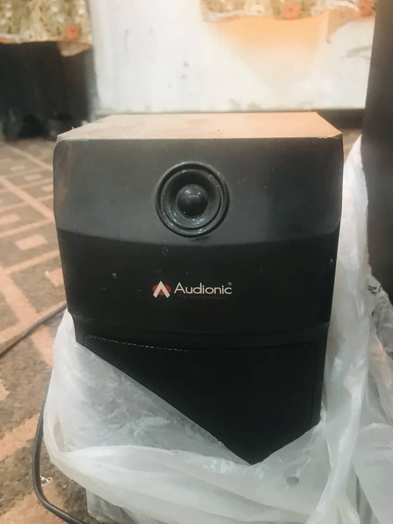 Adionic speaker 4