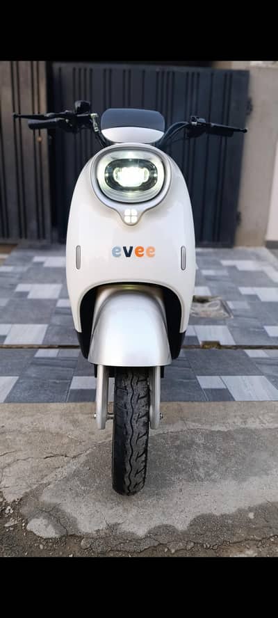 Evee nisa for sale