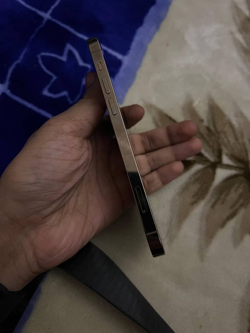 iPhone 12 Pro 1