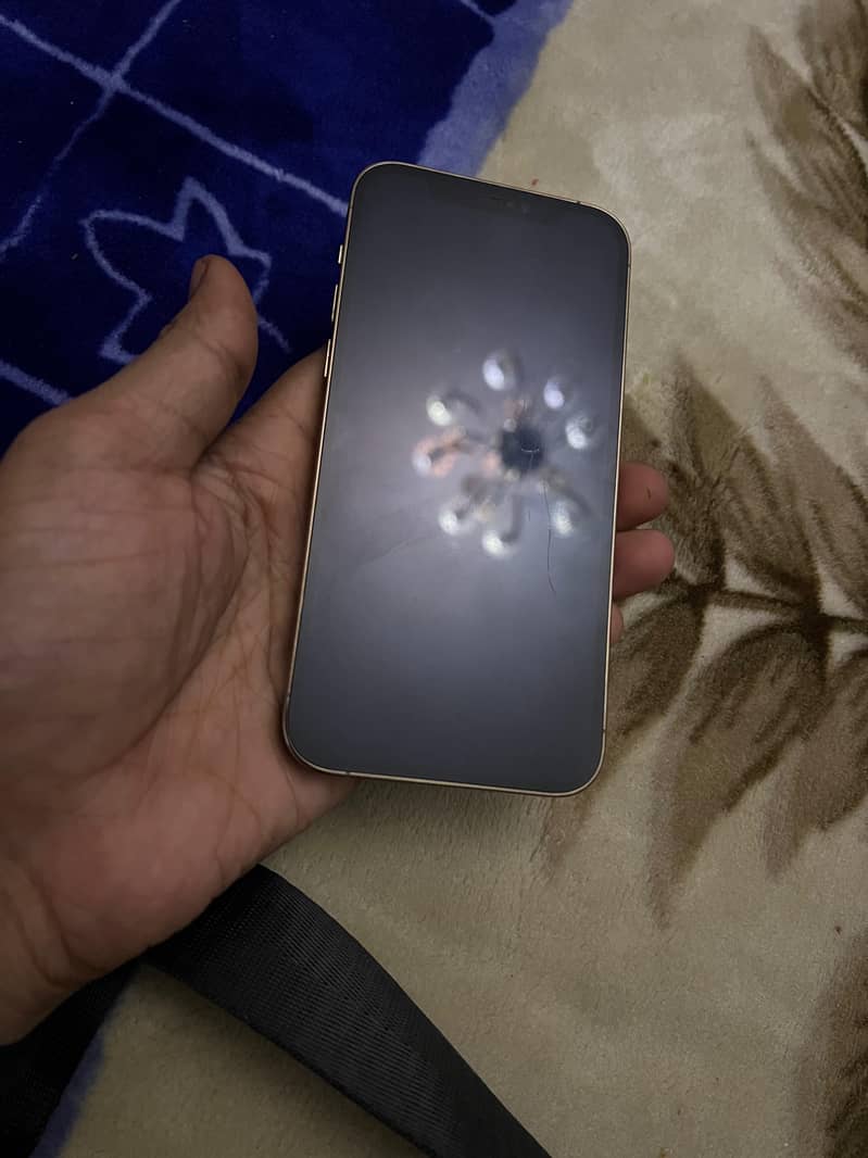 iPhone 12 Pro 2