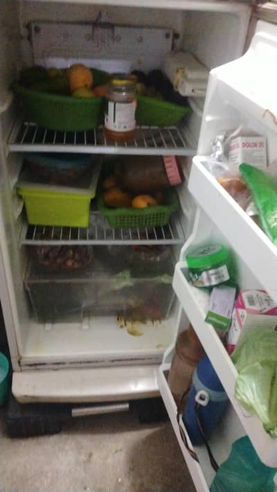 fridge