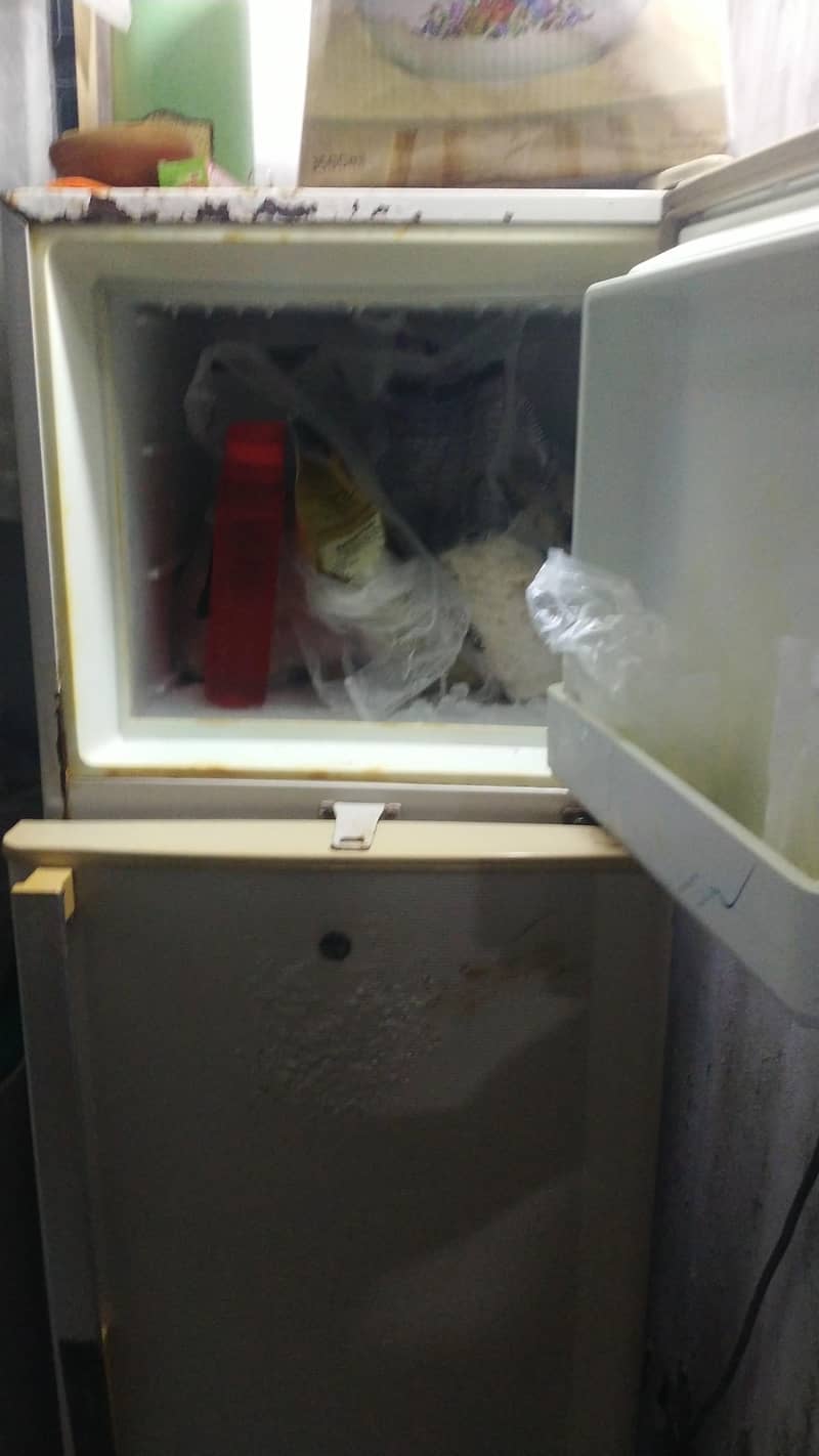 fridge 1