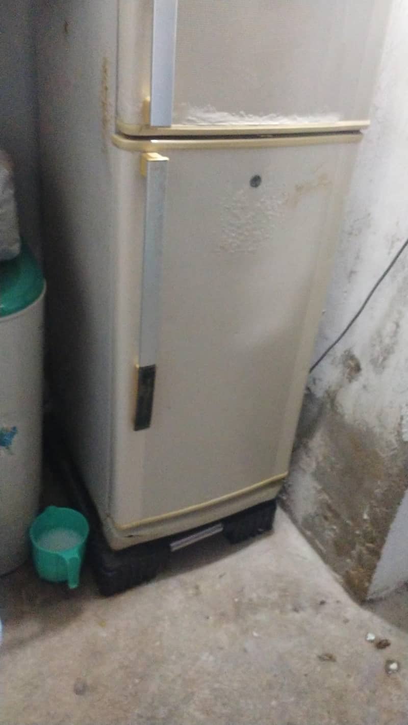 fridge 2
