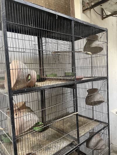 Cage available