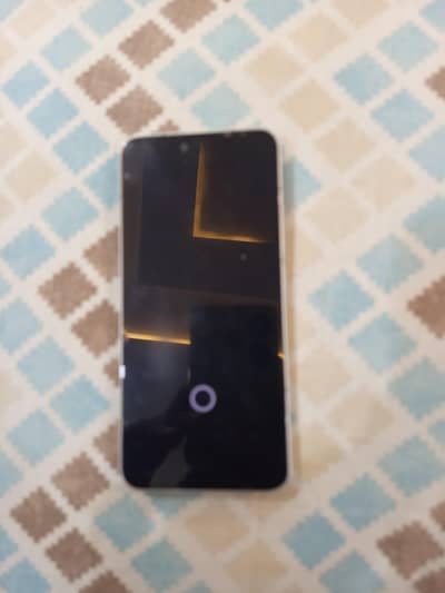 Xiaomi 15