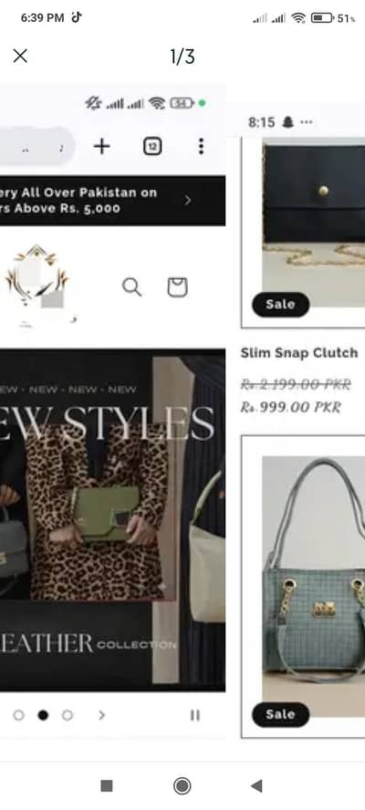 Profitable Shopify Store for Sale – Ready-to-Run Bag Business