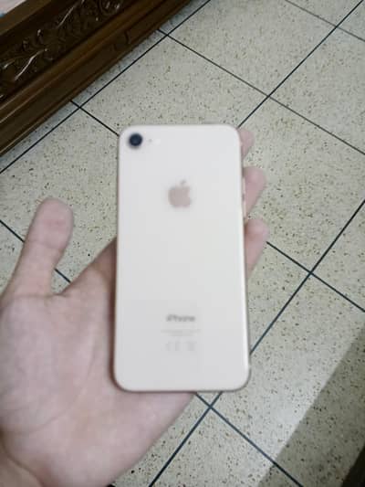 iphone 8 pta approved