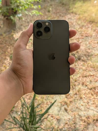 iPhone 13 pro max 1 TB