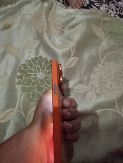 IPhone 12 Pro Max convert to 17promax