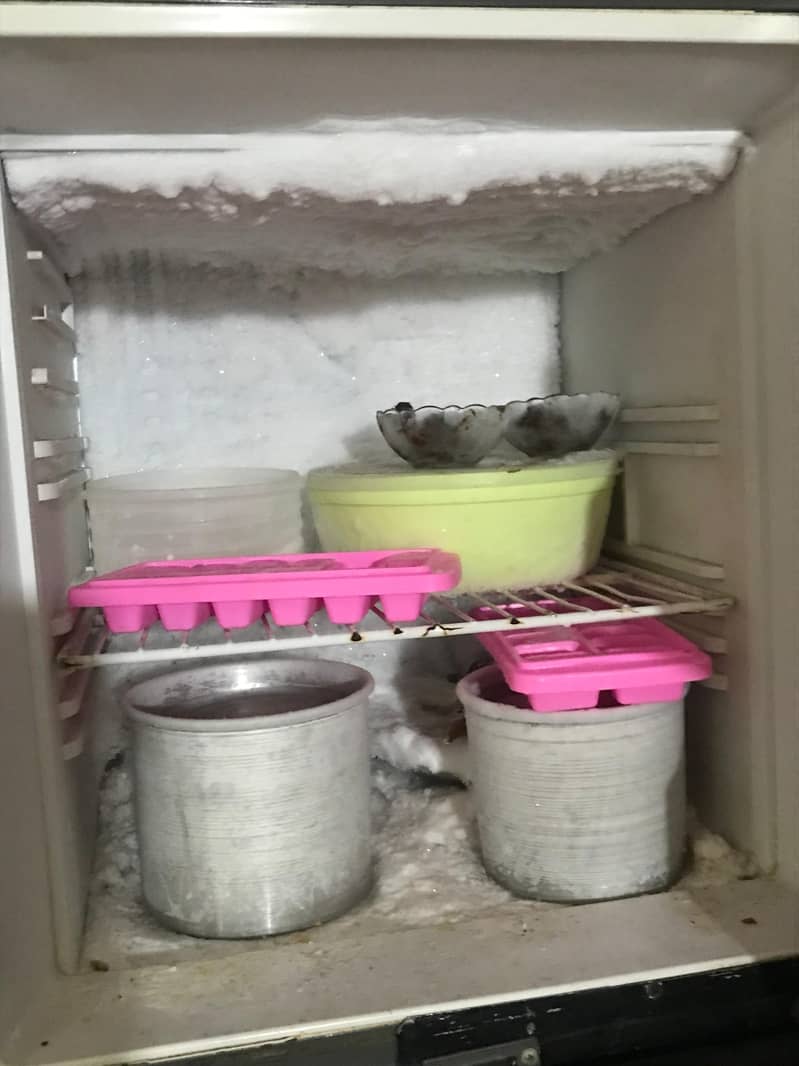 orient fridge 2