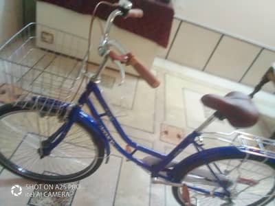 Basket Cycle (Step-Through)