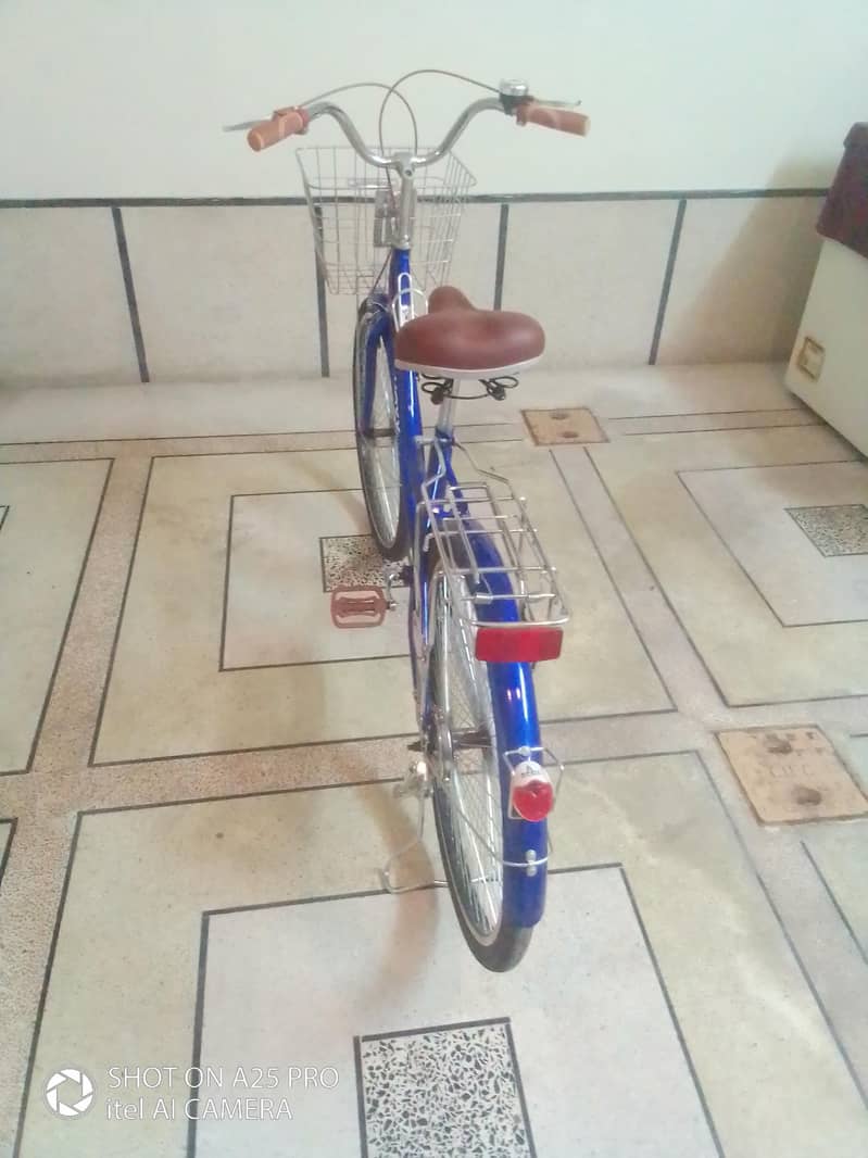 Basket Cycle (Step-Through) 2
