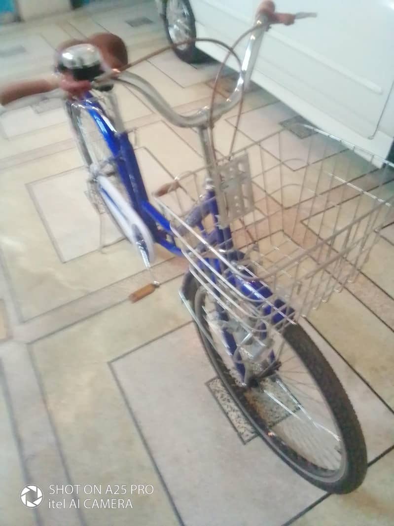 Basket Cycle (Step-Through) 3