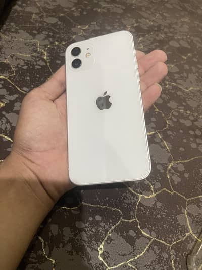 iPhone 12