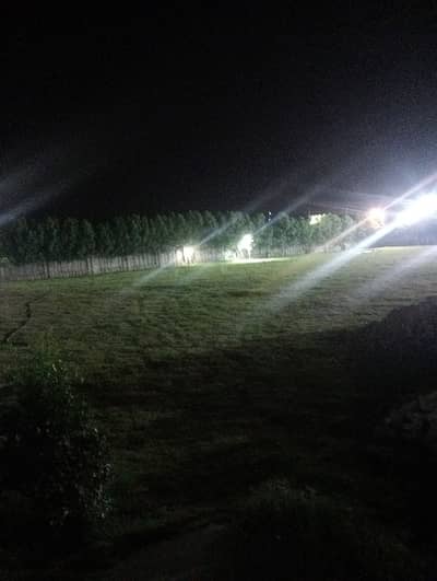 farm house is available for rent in Arabian City 6 KM Bheini Inter Change