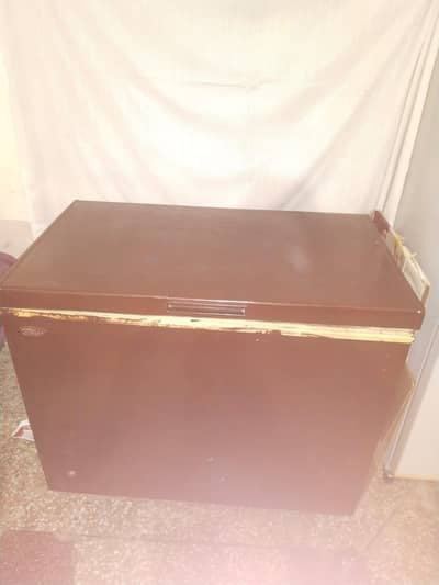 Pel Deep Freezer