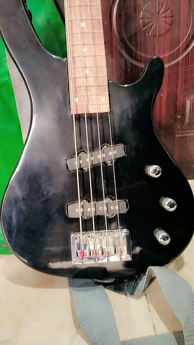 base guitar  vip