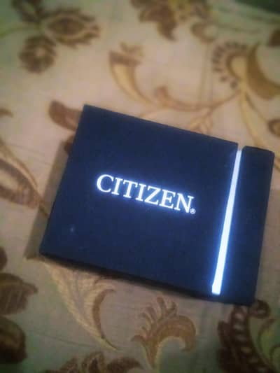 Citizen  CAO0741-89L