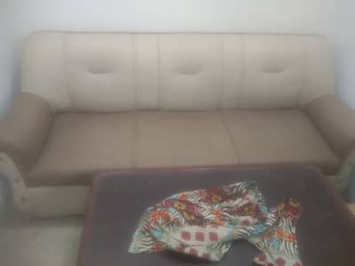 03034466811