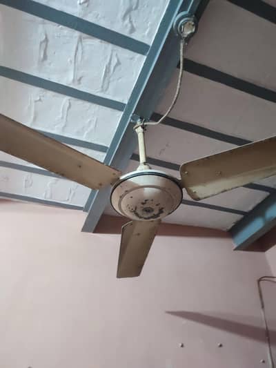 Ceiling Fan