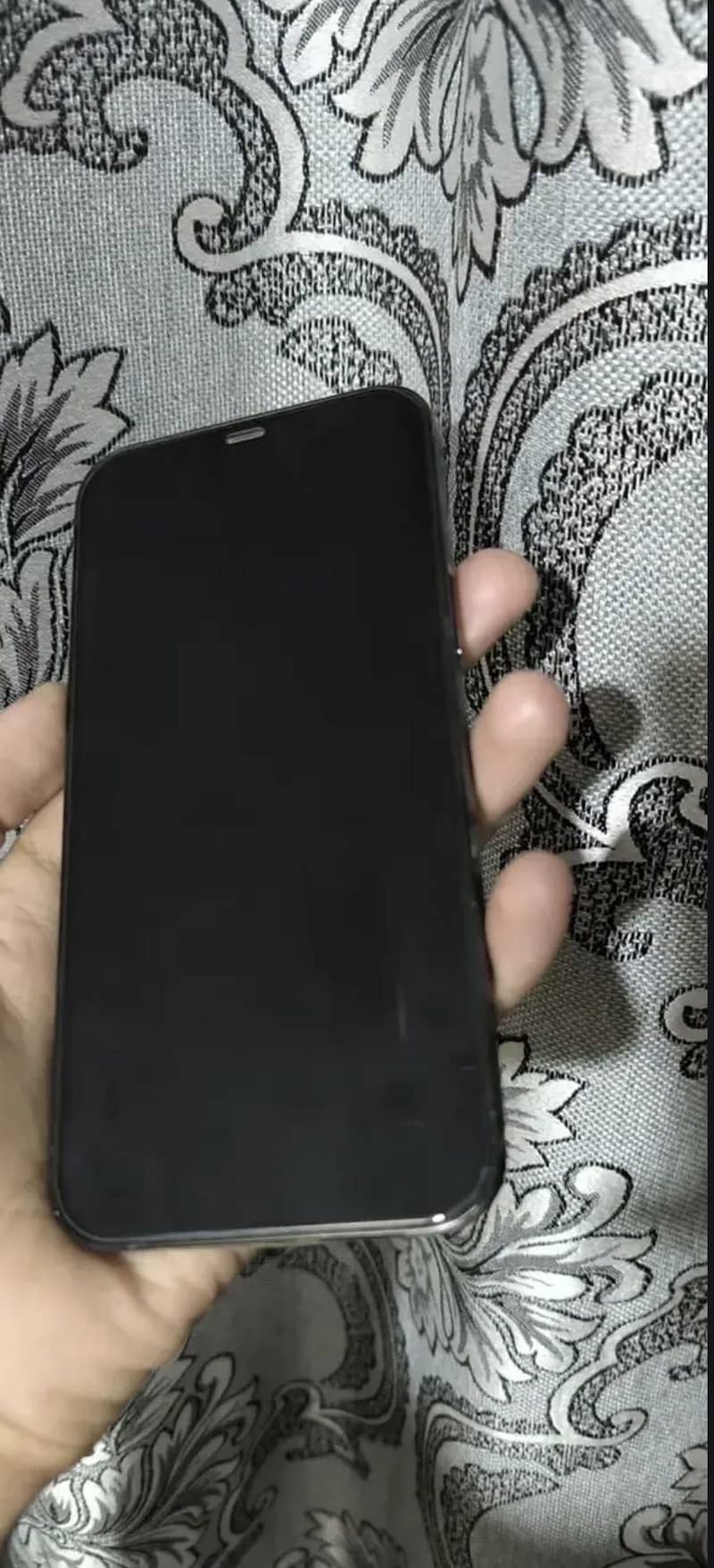 Iphone 12Pro Max 1