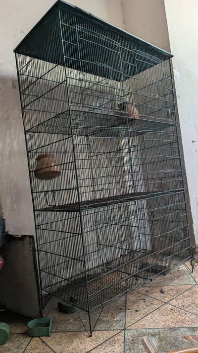 8 khana wala hai condition 10 by 10 hai plus matkiya 8
