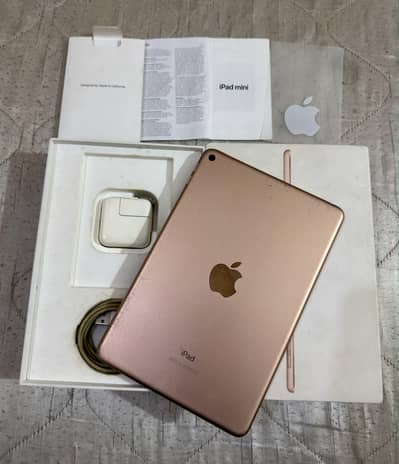 iPad Mini 5 64gb Complete Box