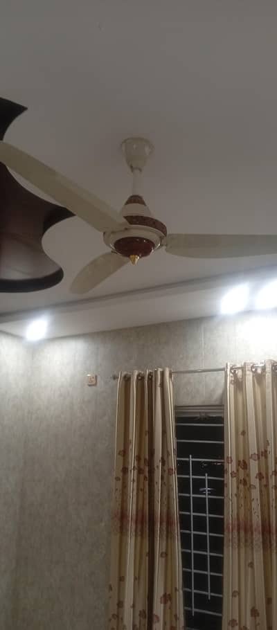 Ceeling fan for sale