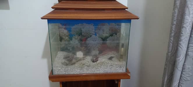 fish aquarium like new