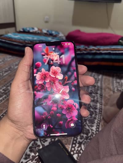 Iphone 13 pro max pta approved 256