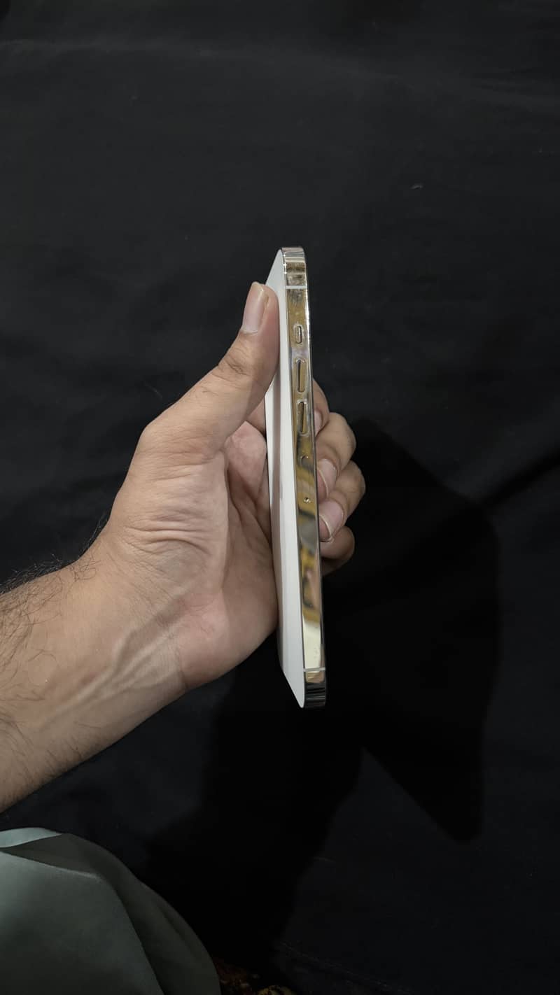 Iphone 13 Pro Max 3