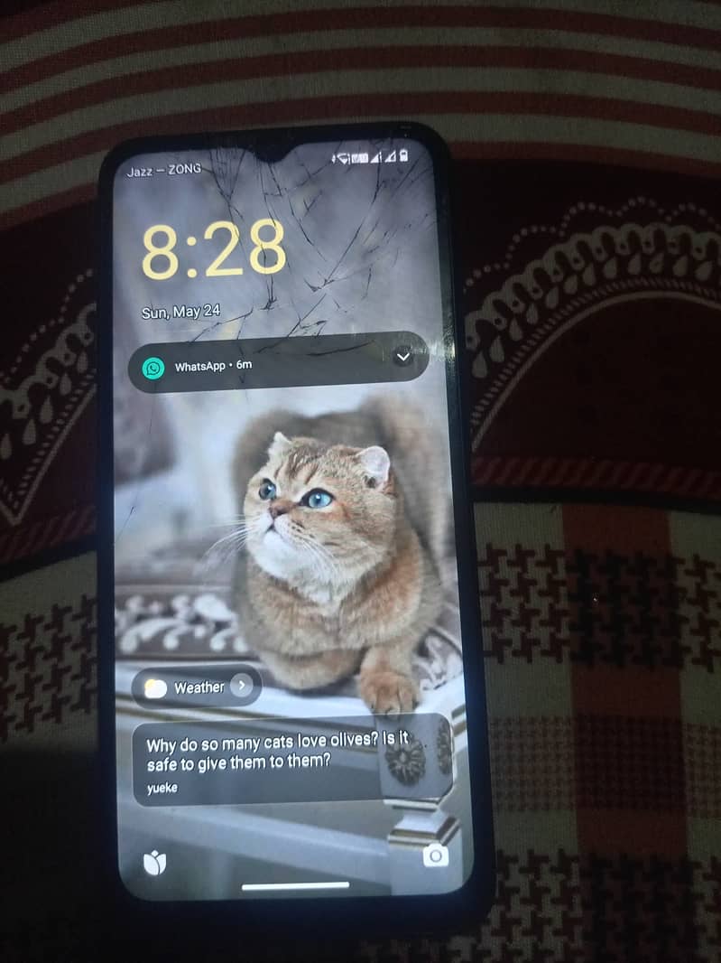Xiaomi Redmi A2 Plus 1