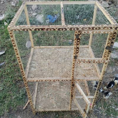 ONLY CAGE FOR SALE (03184527566)