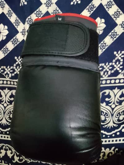 Boxing gloves