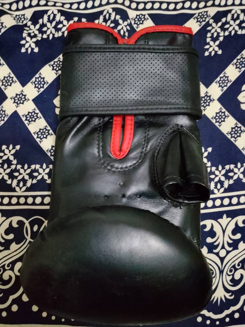 Boxing gloves 1