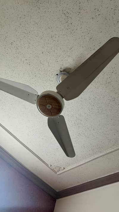 sk fan 10/10 condition