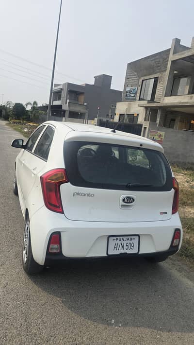 kia picanto