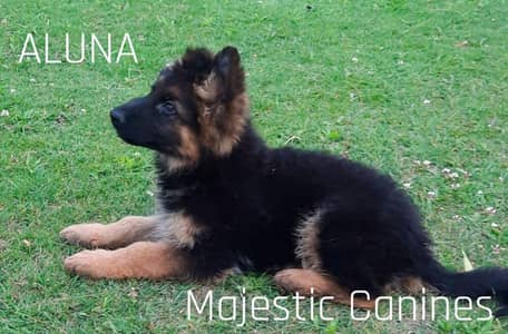 Aluna female and Axel Male