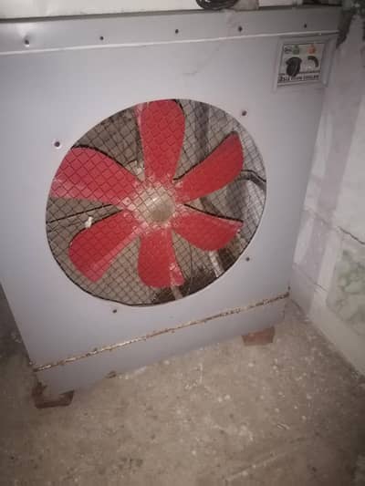 desi cooler