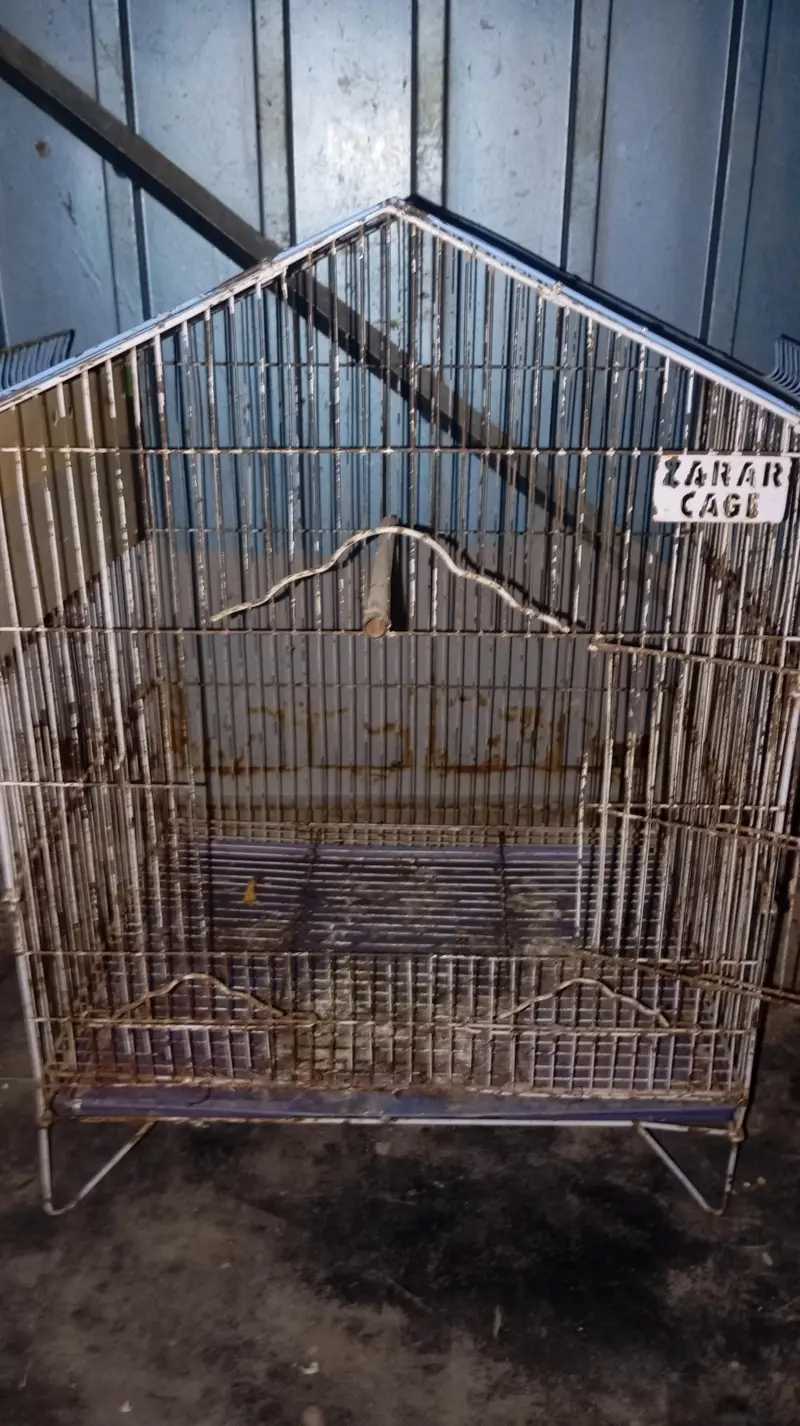 Bird Cage