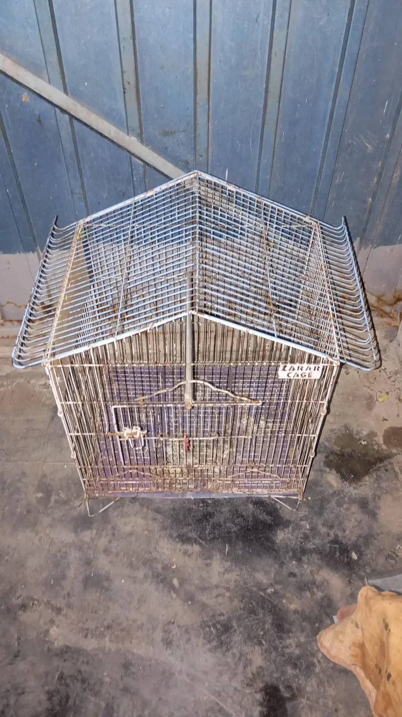 Bird Cage — photo 2