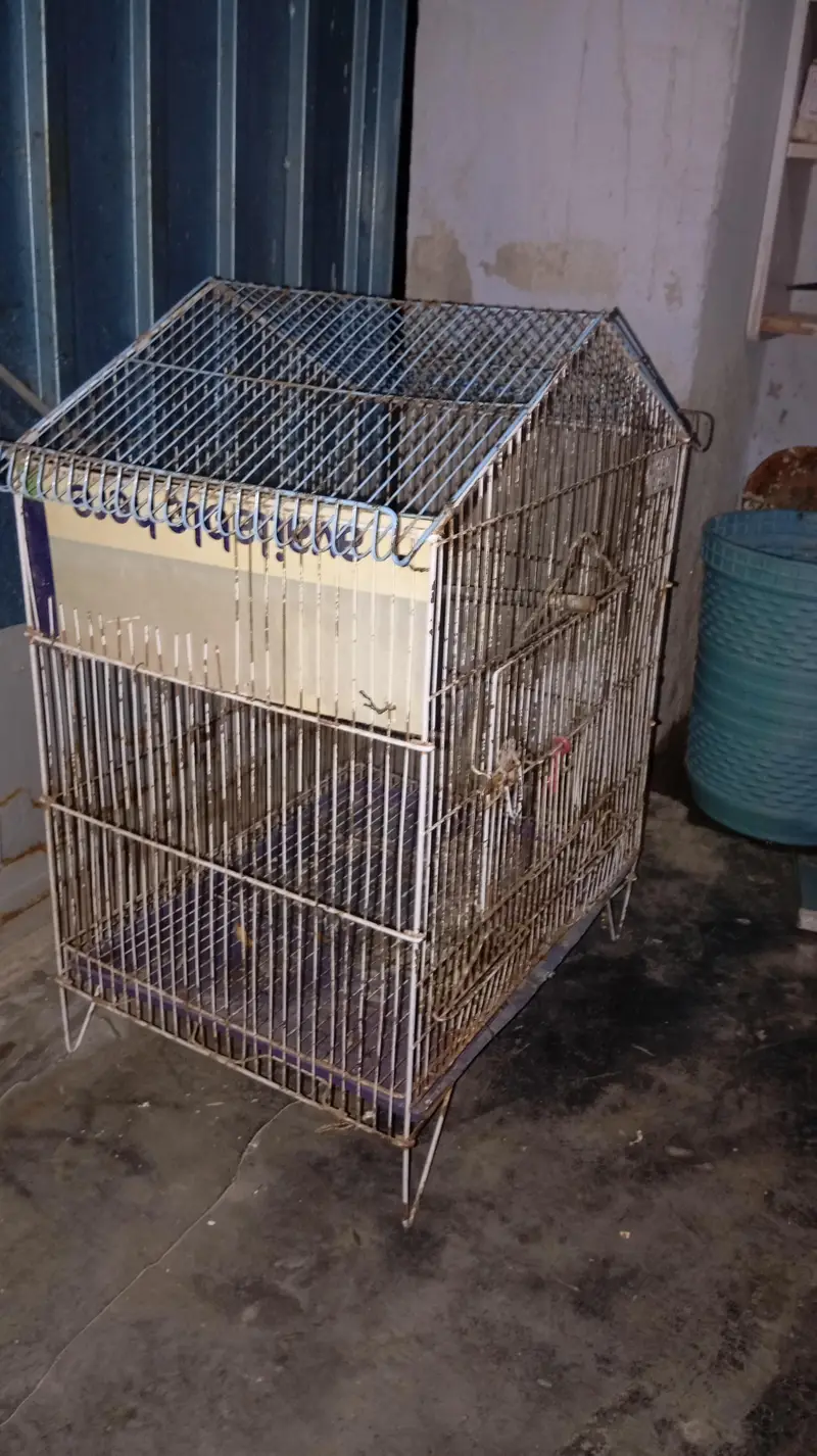 Bird Cage — photo 3